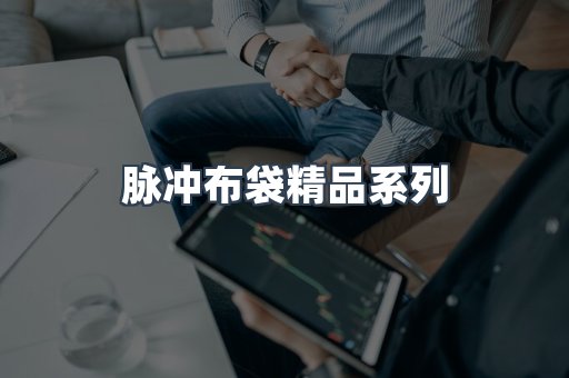 脉冲布袋精品系列