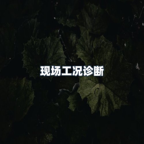 服务优势